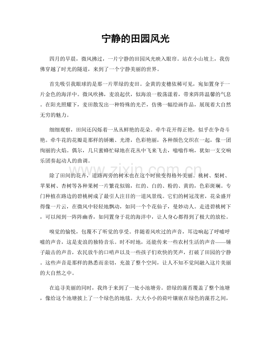 宁静的田园风光.docx_第1页