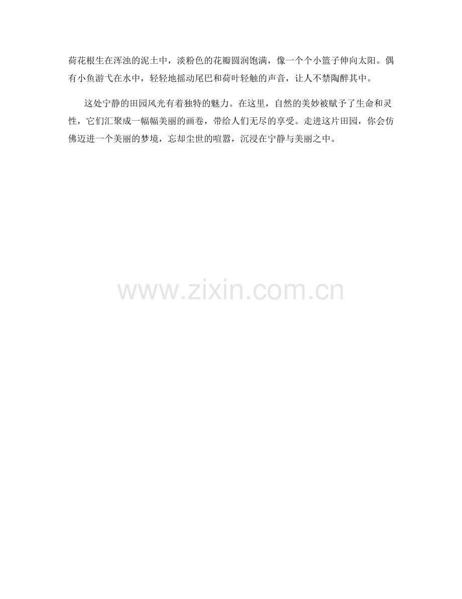 宁静的田园风光.docx_第2页