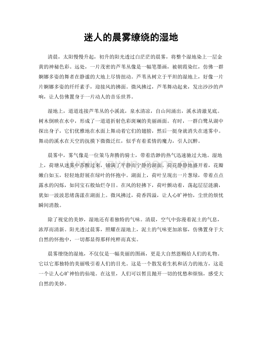 迷人的晨雾缭绕的湿地.docx_第1页