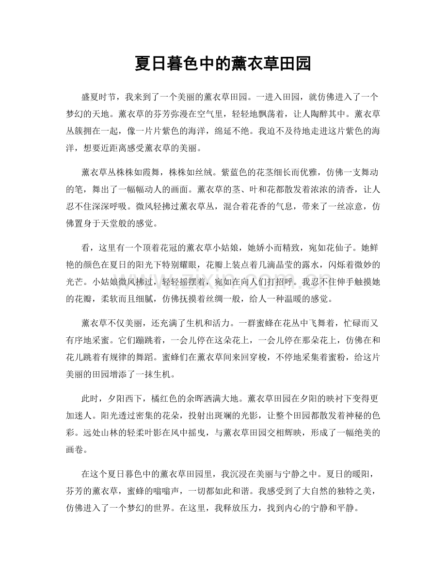 夏日暮色中的薰衣草田园.docx_第1页