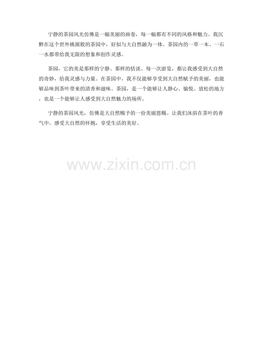 宁静的茶园风光.docx_第2页