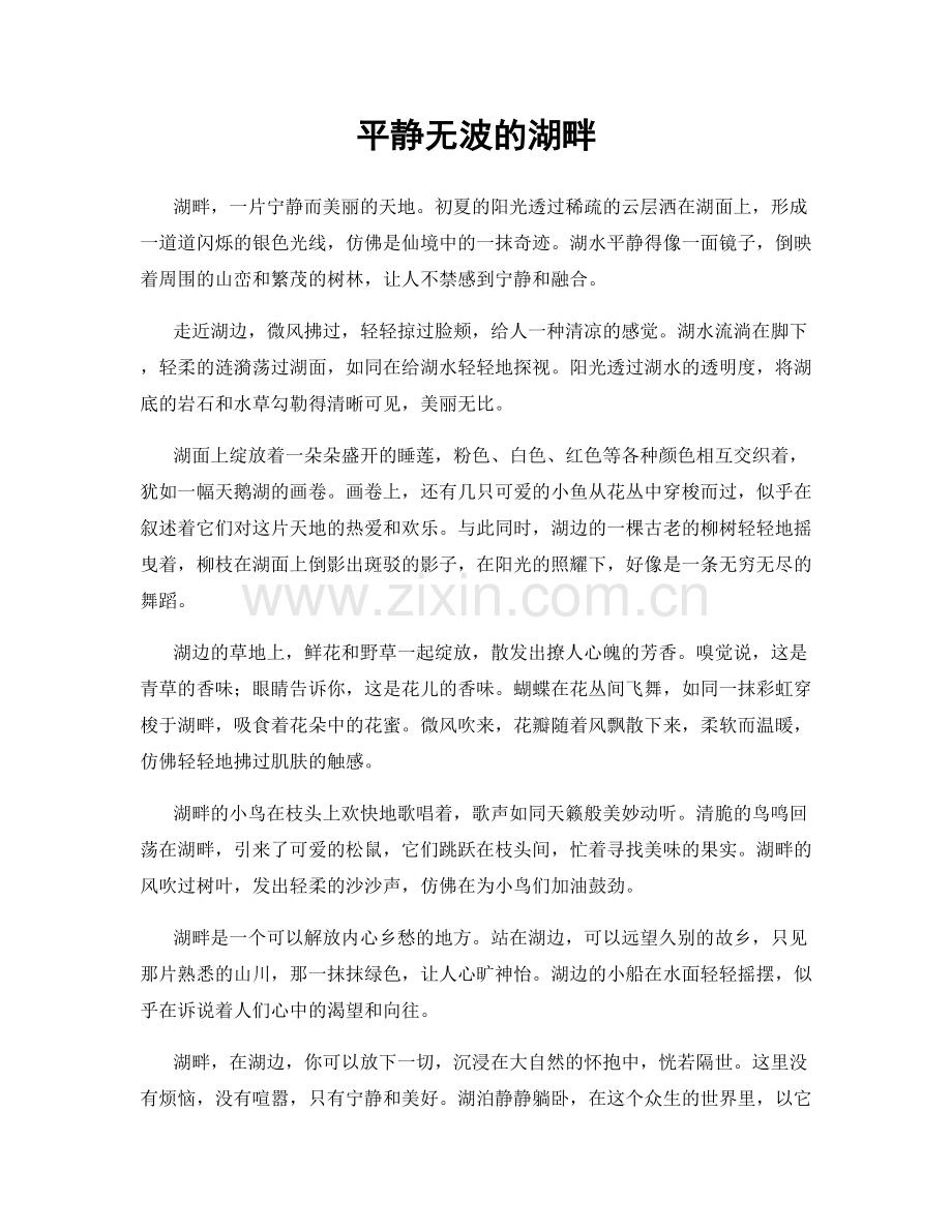 平静无波的湖畔.docx_第1页