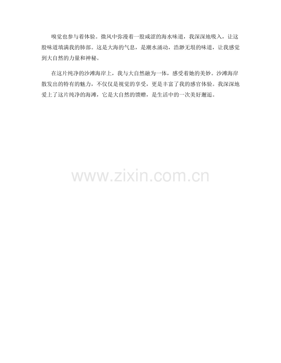 纯净的沙滩海岸.docx_第2页