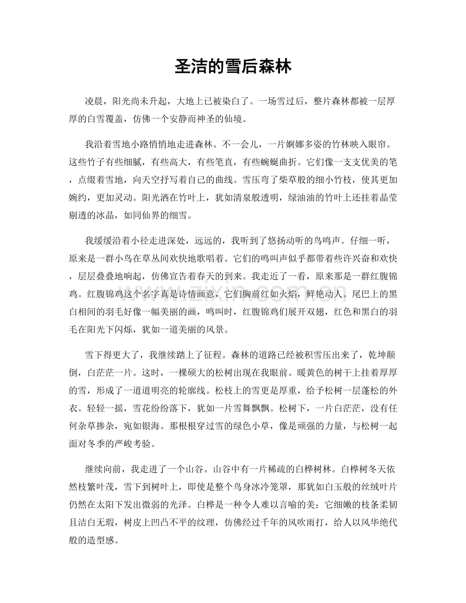 圣洁的雪后森林.docx_第1页