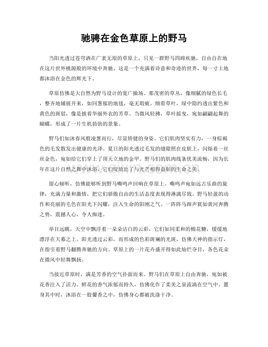 驰骋在金色草原上的野马.docx_第1页