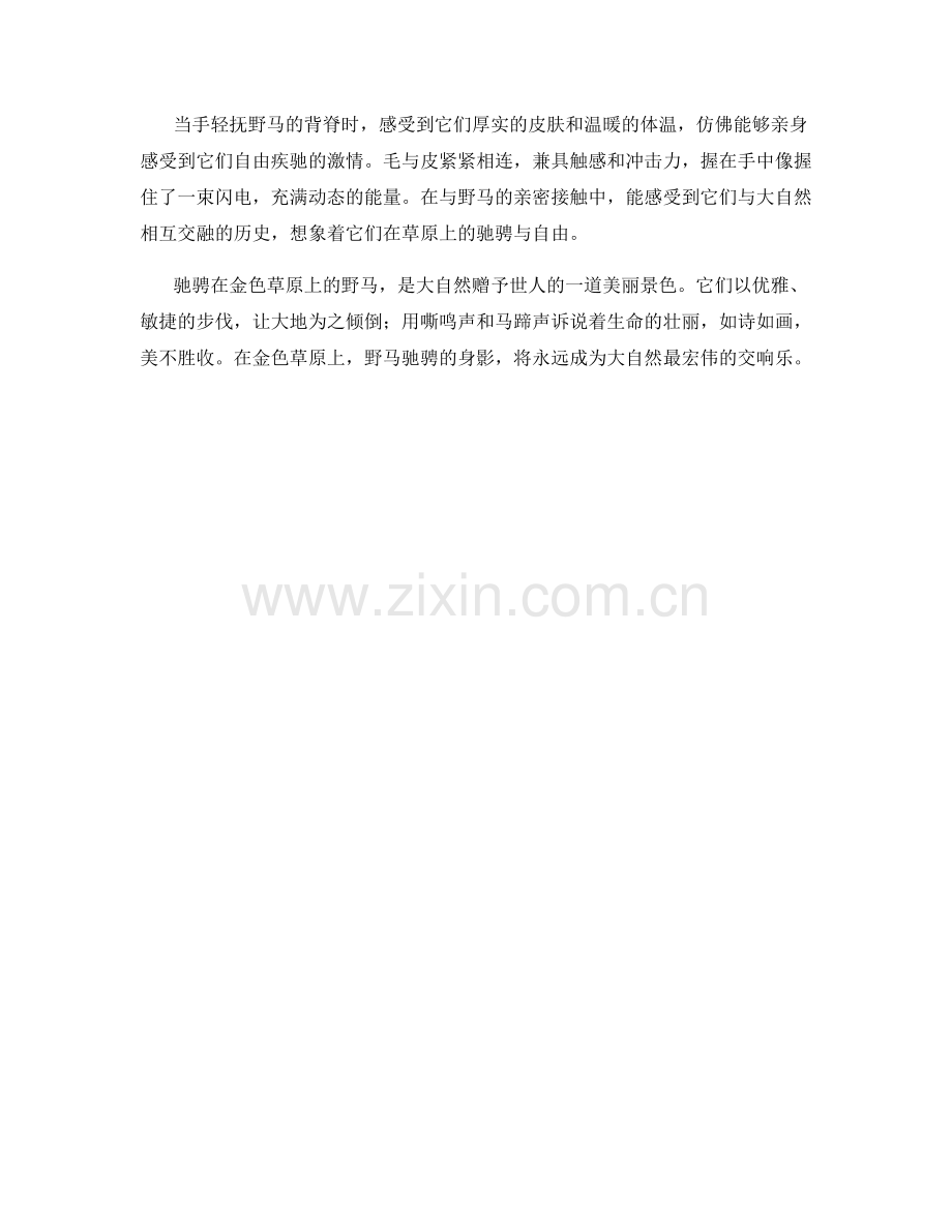 驰骋在金色草原上的野马.docx_第2页