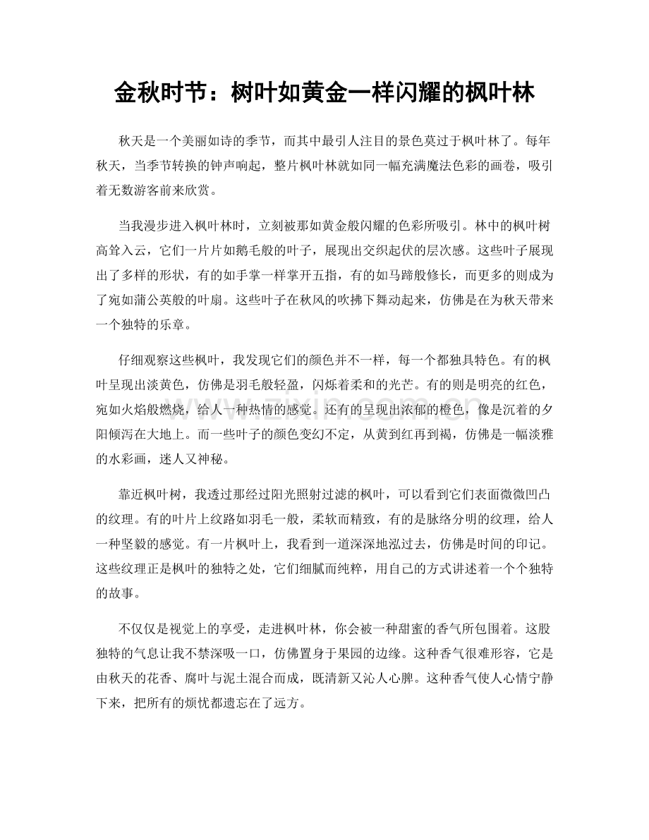 金秋时节：树叶如黄金一样闪耀的枫叶林.docx_第1页
