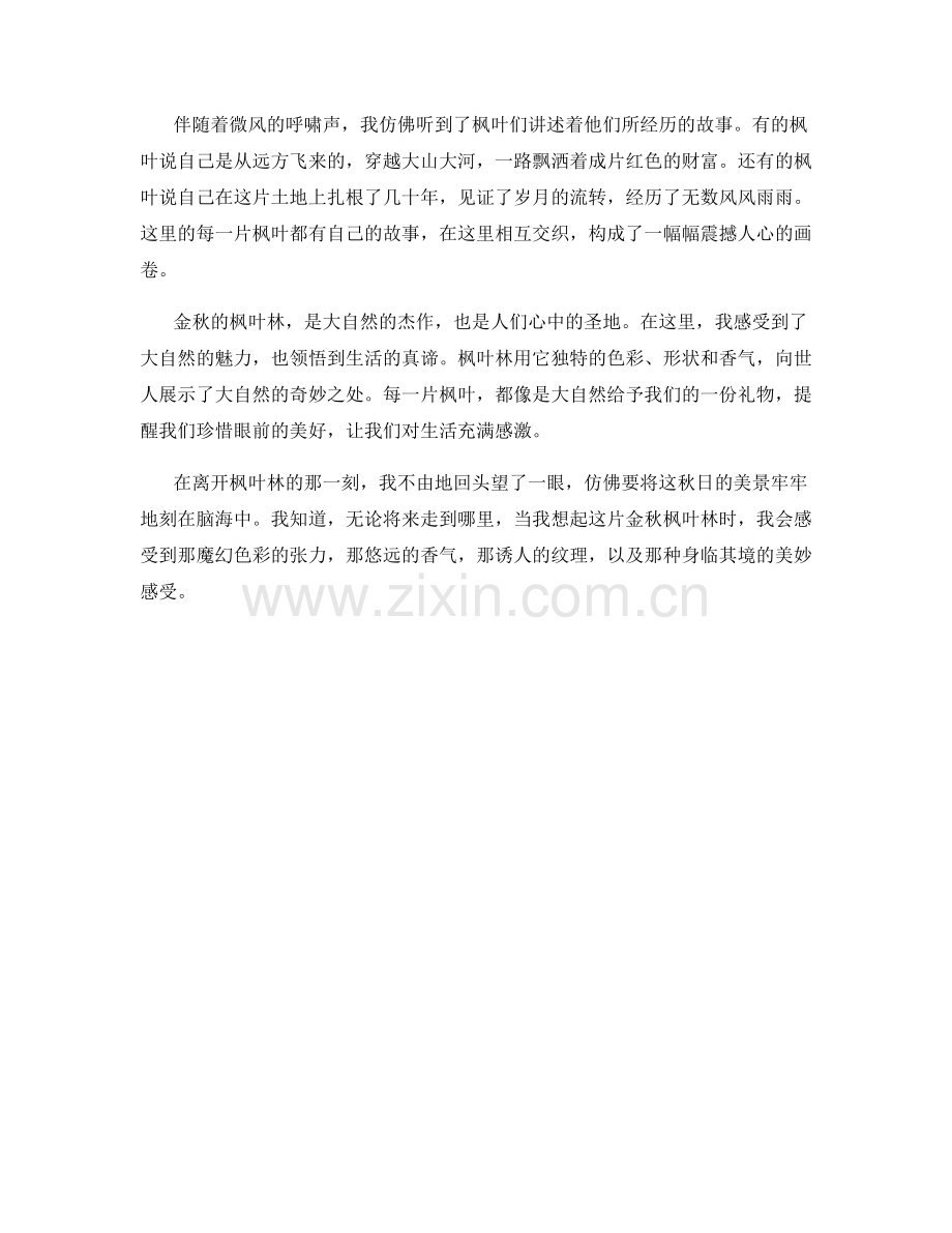 金秋时节：树叶如黄金一样闪耀的枫叶林.docx_第2页