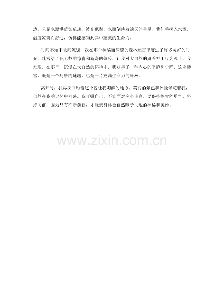 神秘深邃的森林迷宫.docx_第2页