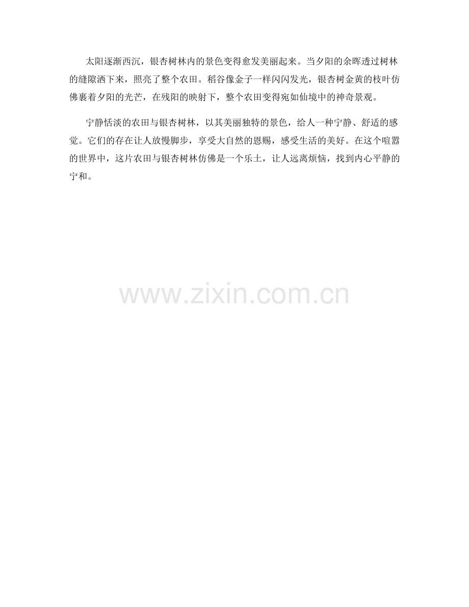 宁静恬淡的农田与银杏树林.docx_第2页