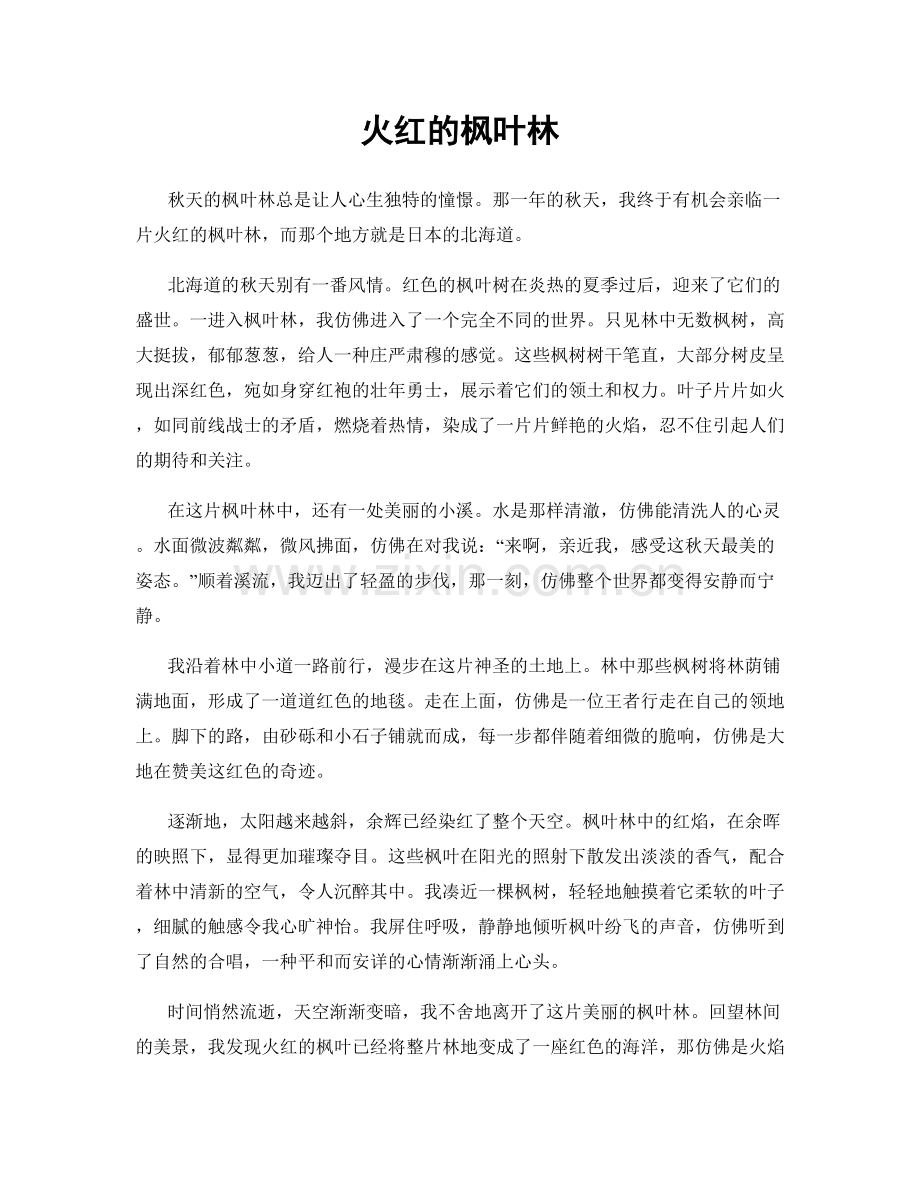 火红的枫叶林.docx_第1页