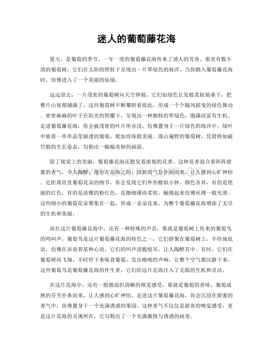 迷人的葡萄藤花海.docx_第1页