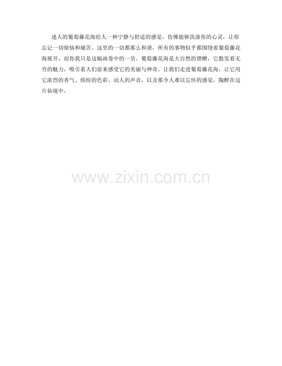 迷人的葡萄藤花海.docx_第2页