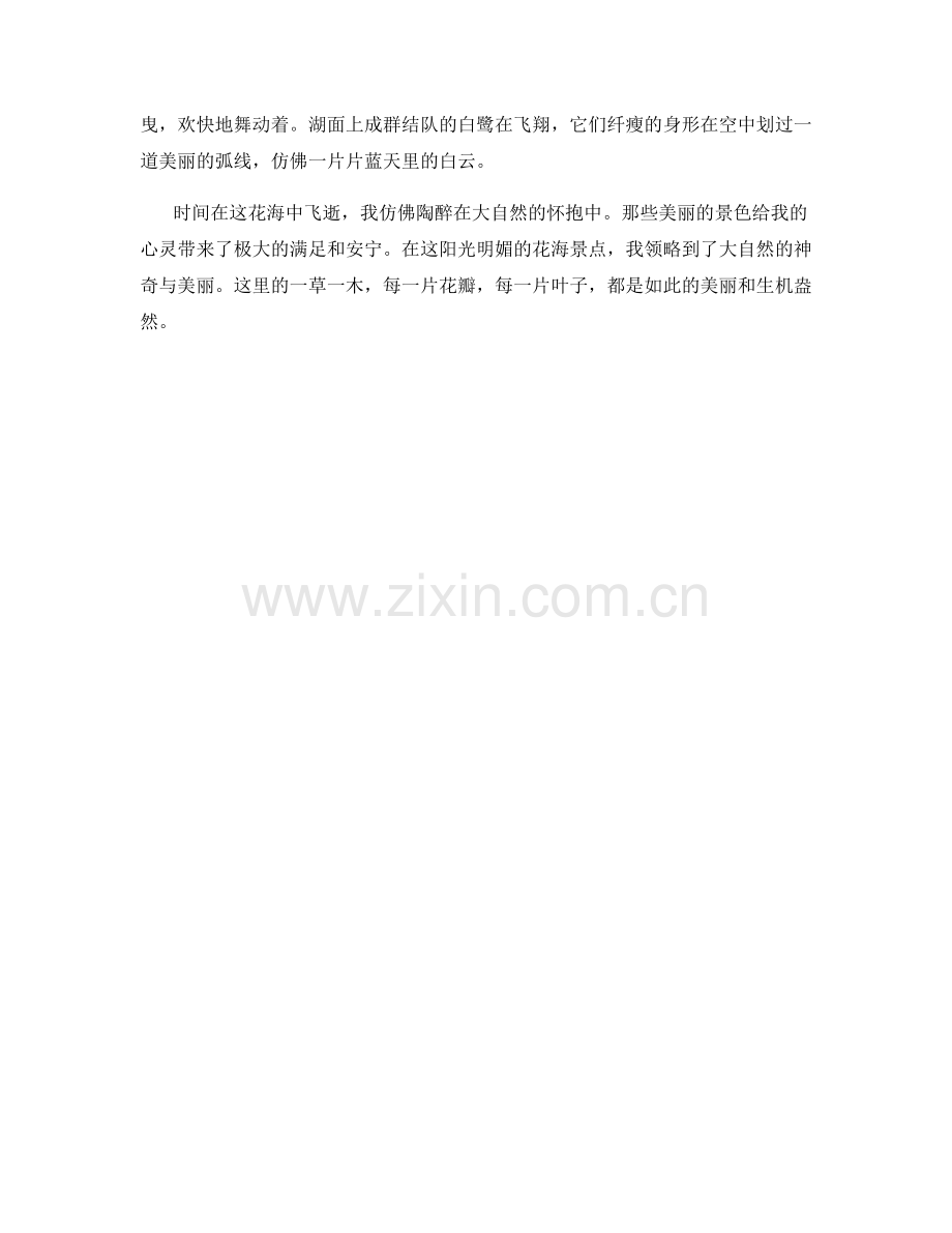 阳光明媚的花海景点.docx_第2页