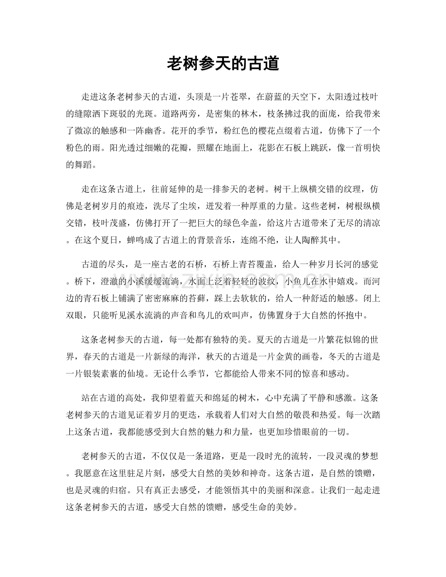 老树参天的古道.docx_第1页