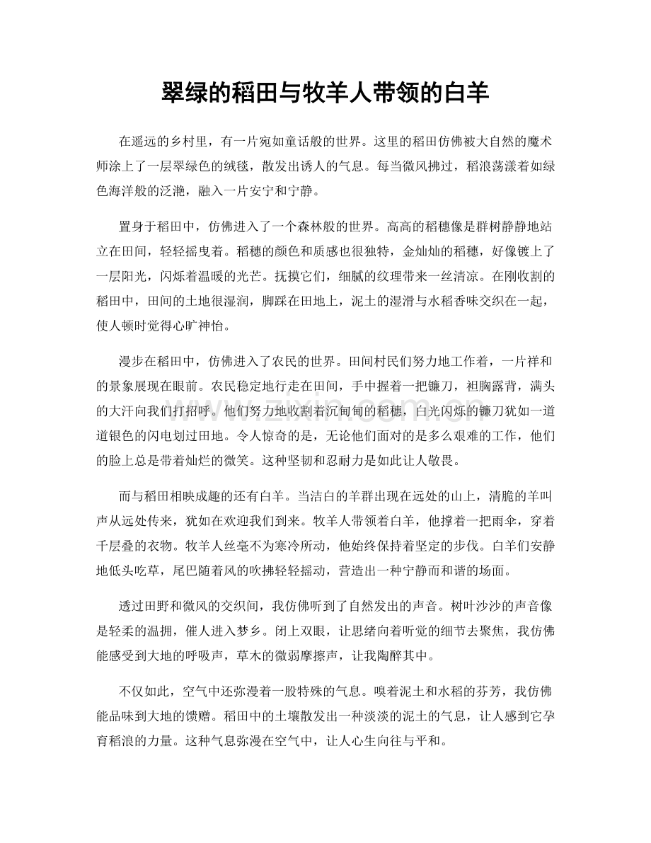 翠绿的稻田与牧羊人带领的白羊.docx_第1页
