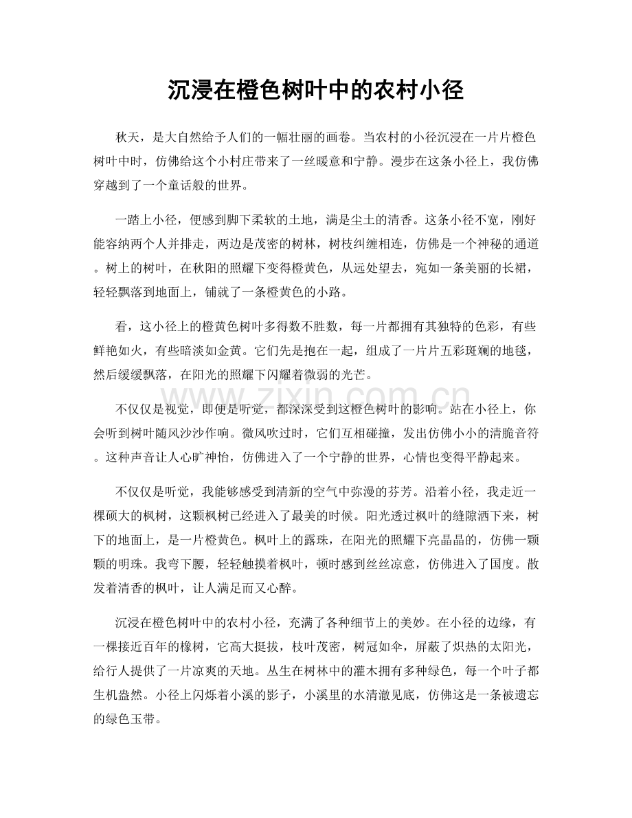 沉浸在橙色树叶中的农村小径.docx_第1页