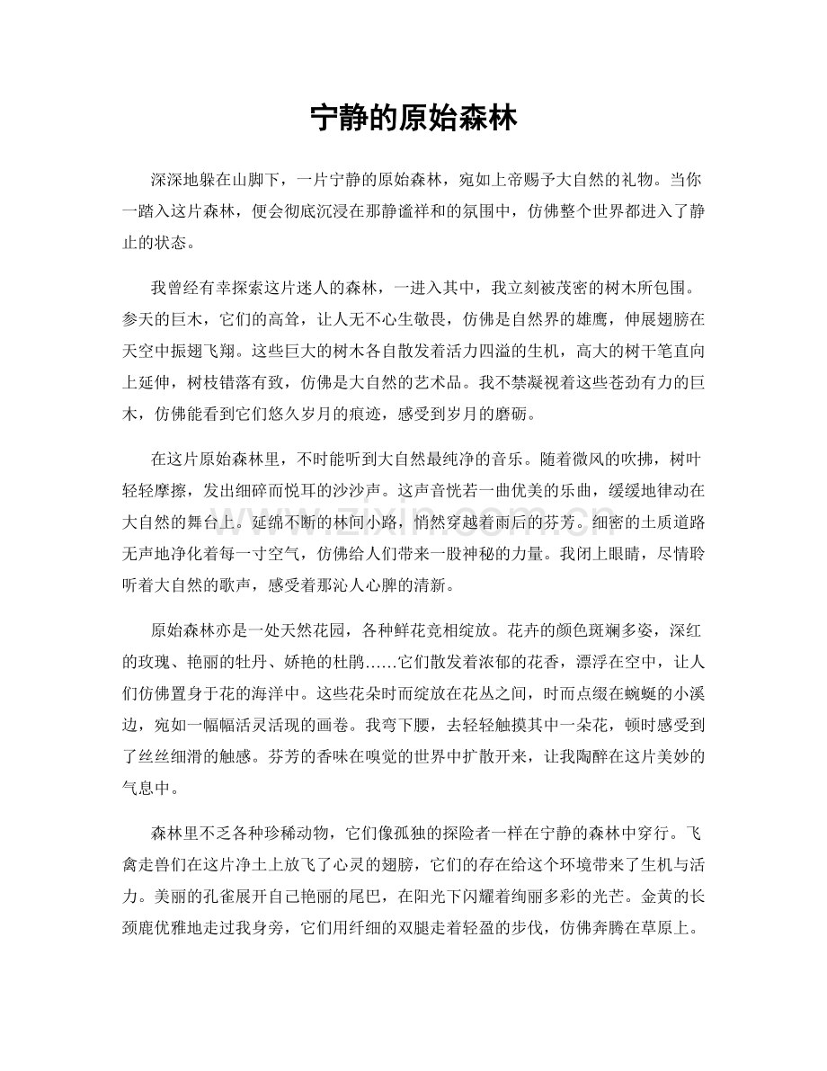 宁静的原始森林.docx_第1页