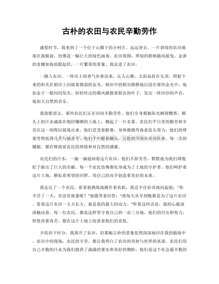 古朴的农田与农民辛勤劳作.docx_第1页
