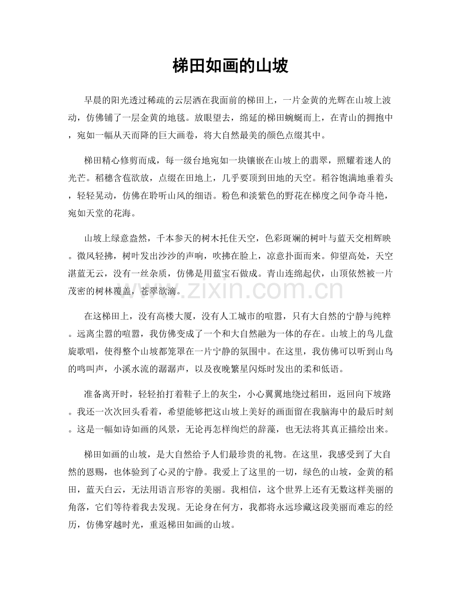 梯田如画的山坡.docx_第1页