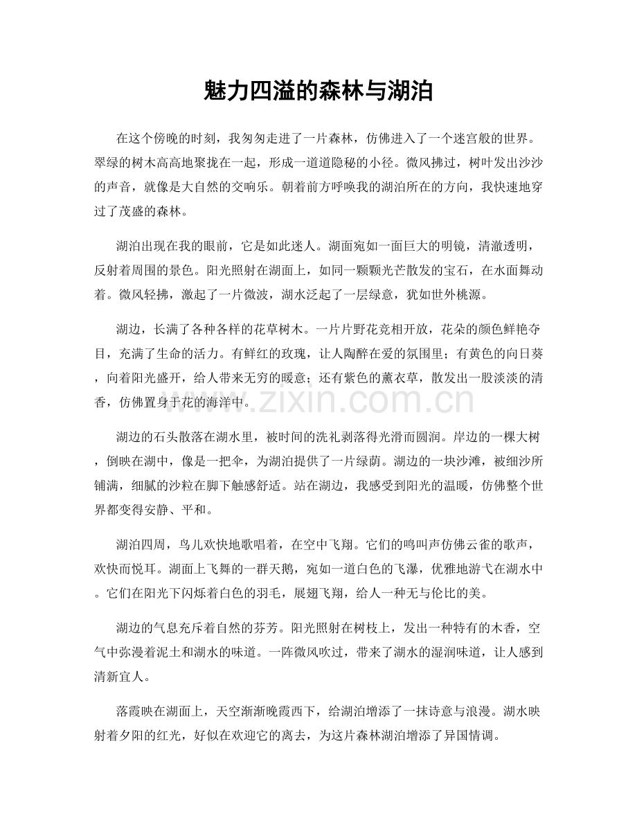 魅力四溢的森林与湖泊.docx_第1页
