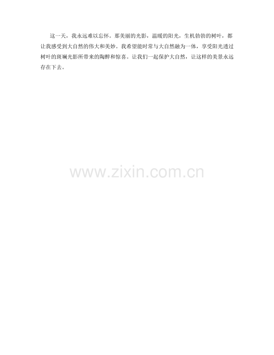 阳光透过树叶的斑斓光影.docx_第2页