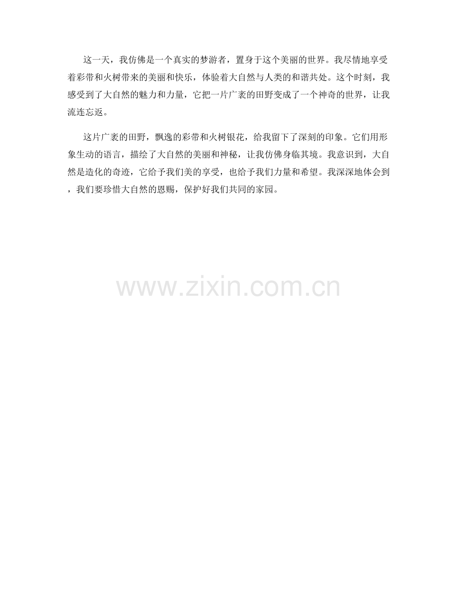 飘逸的彩带与火树银花.docx_第2页
