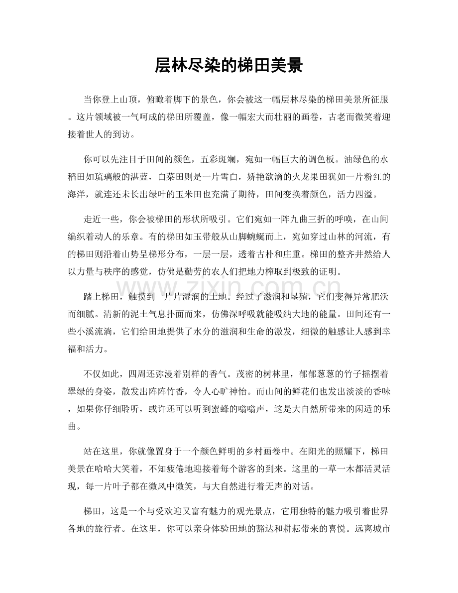 层林尽染的梯田美景.docx_第1页