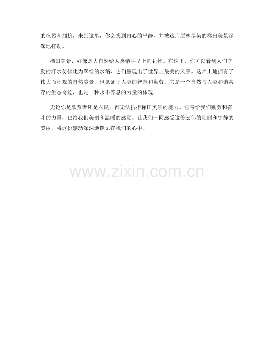 层林尽染的梯田美景.docx_第2页