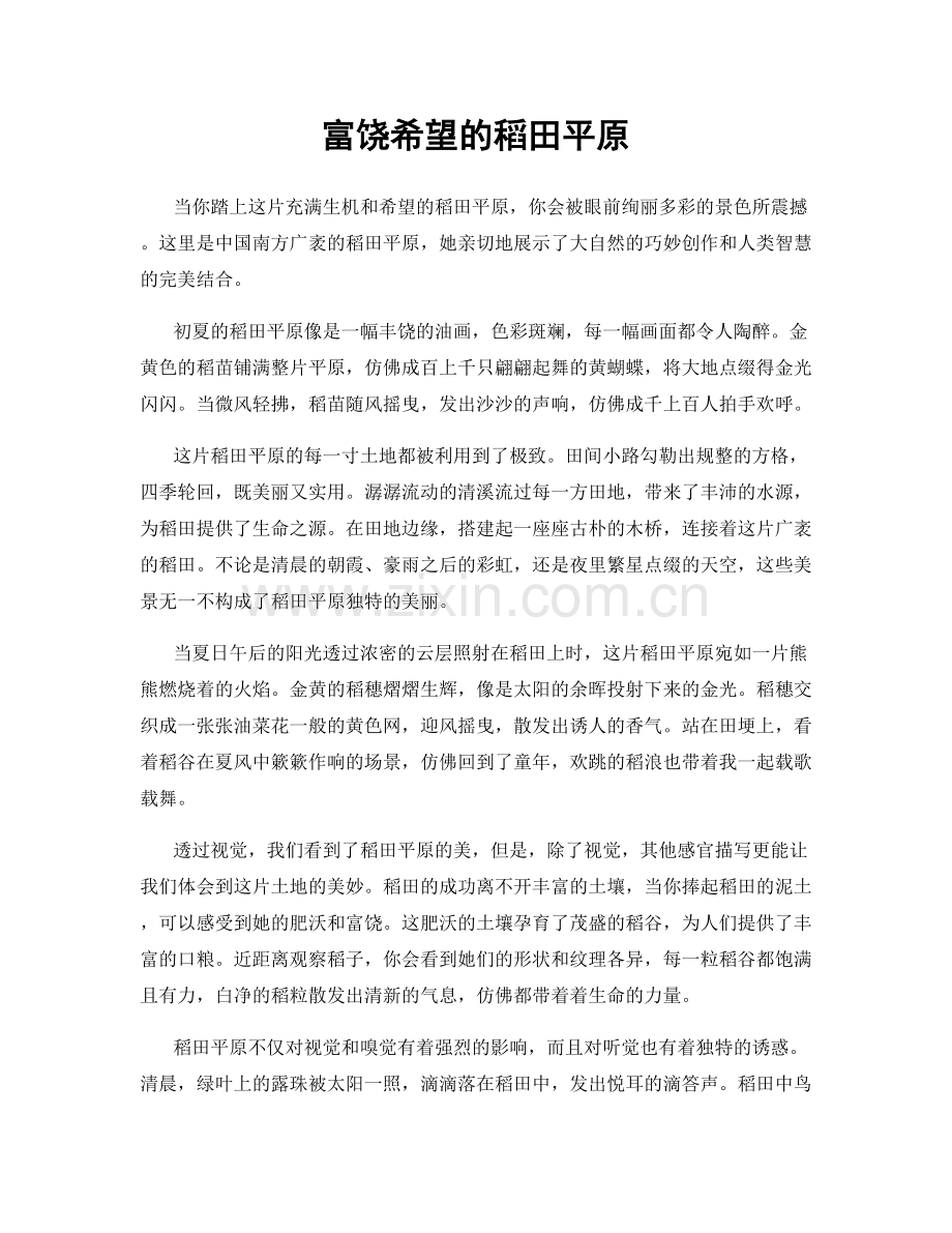 富饶希望的稻田平原.docx_第1页