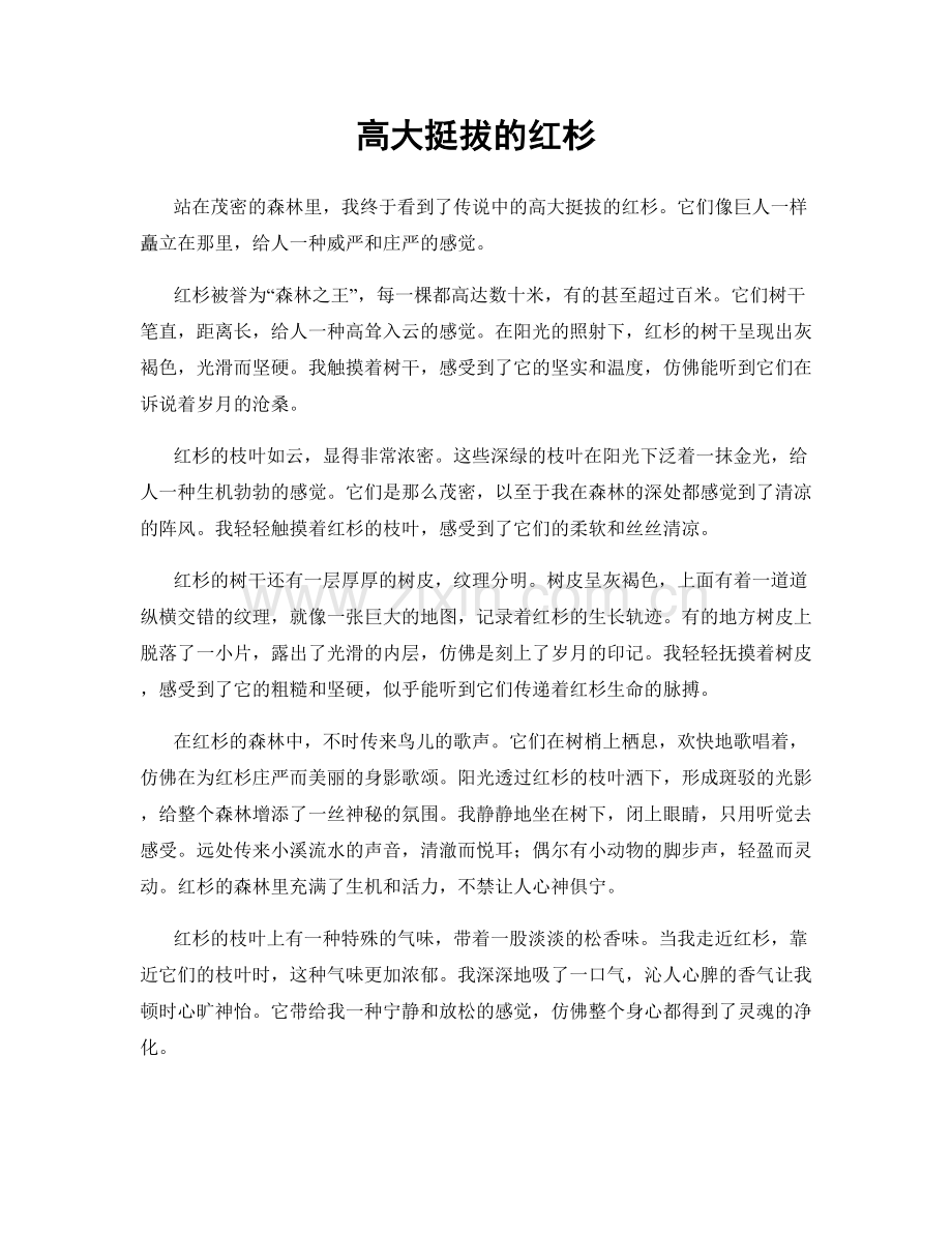 高大挺拔的红杉.docx_第1页
