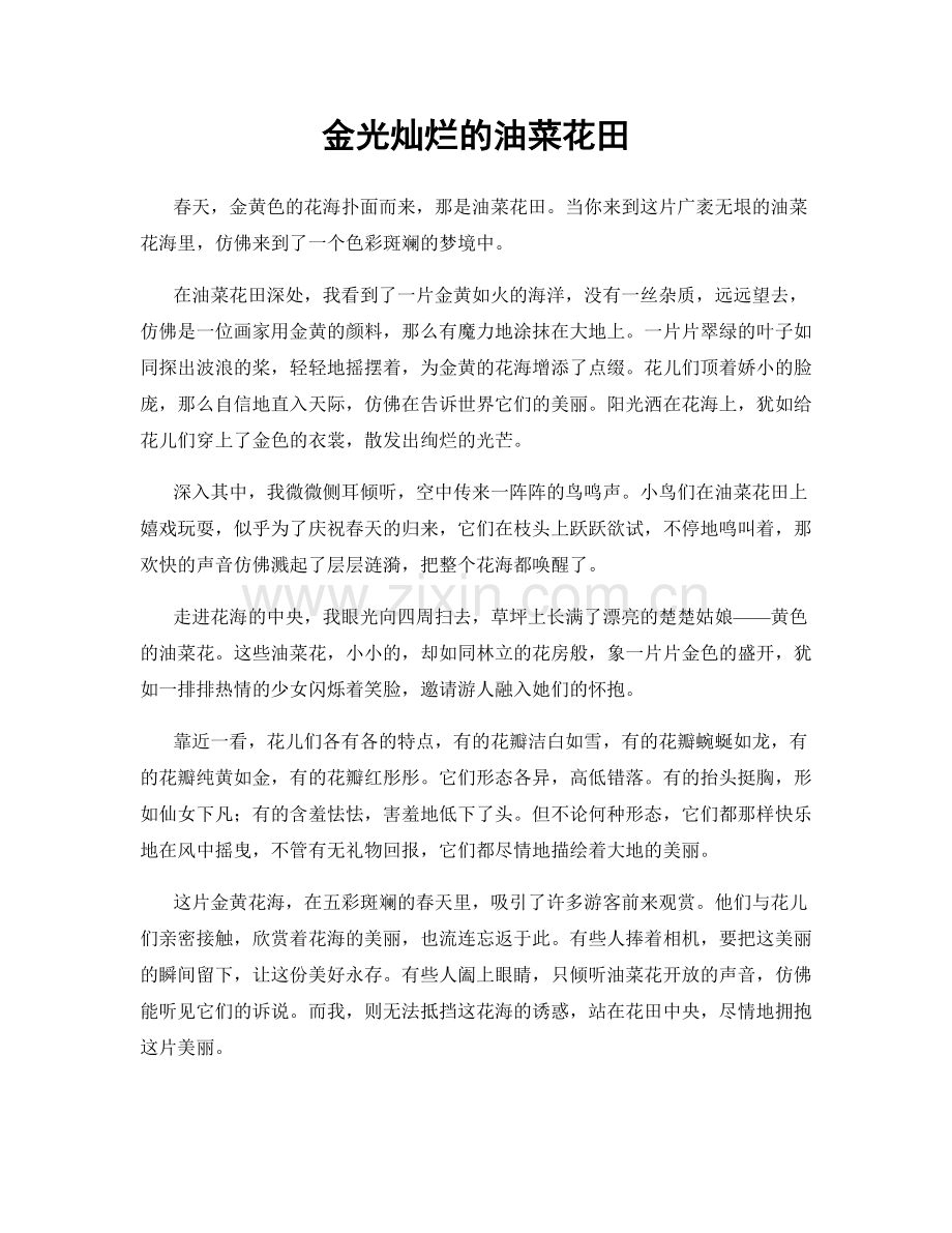 金光灿烂的油菜花田.docx_第1页