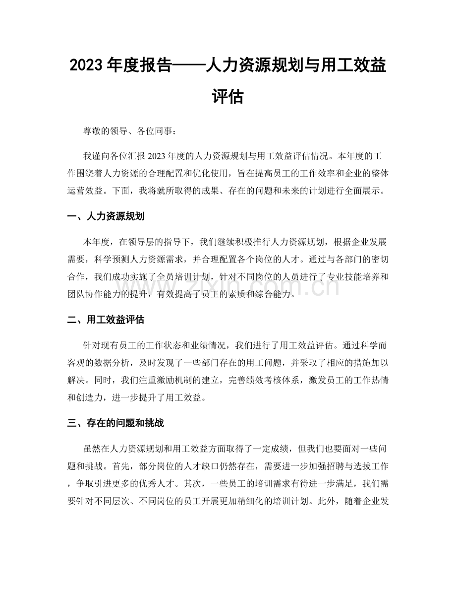 2023年度报告——人力资源规划与用工效益评估.docx_第1页