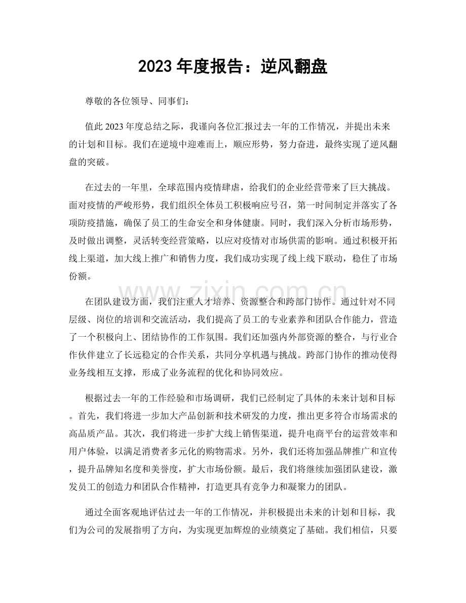 2023年度报告：逆风翻盘.docx_第1页