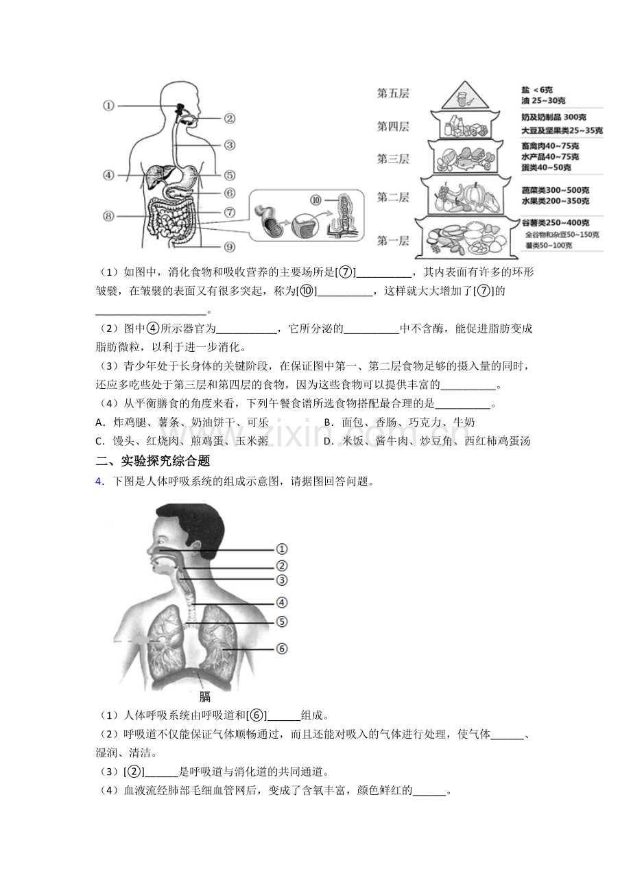 宁波市效实中学七年级下学期期末综合题实验探究题试卷试题.doc_第2页