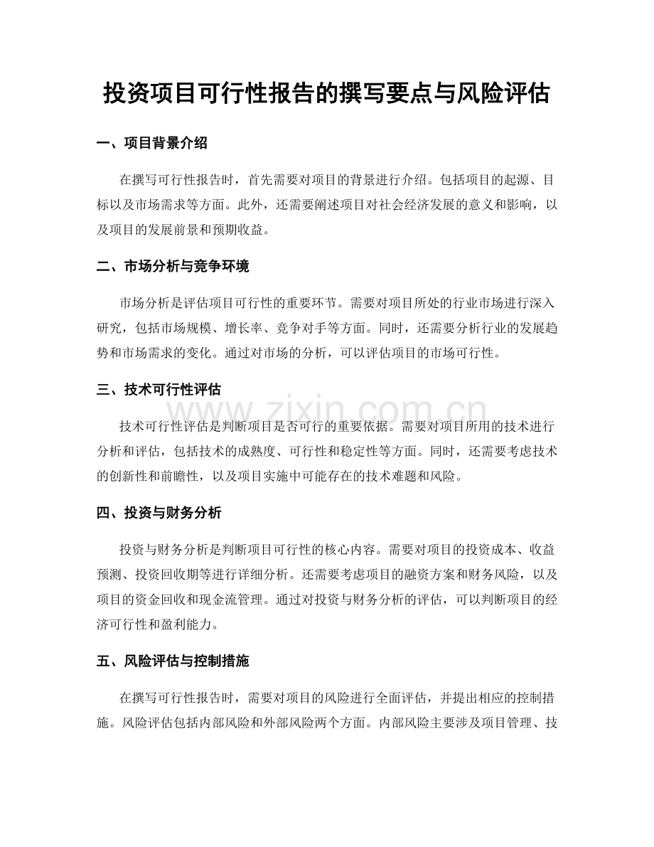 投资项目可行性报告的撰写要点与风险评估.docx_第1页