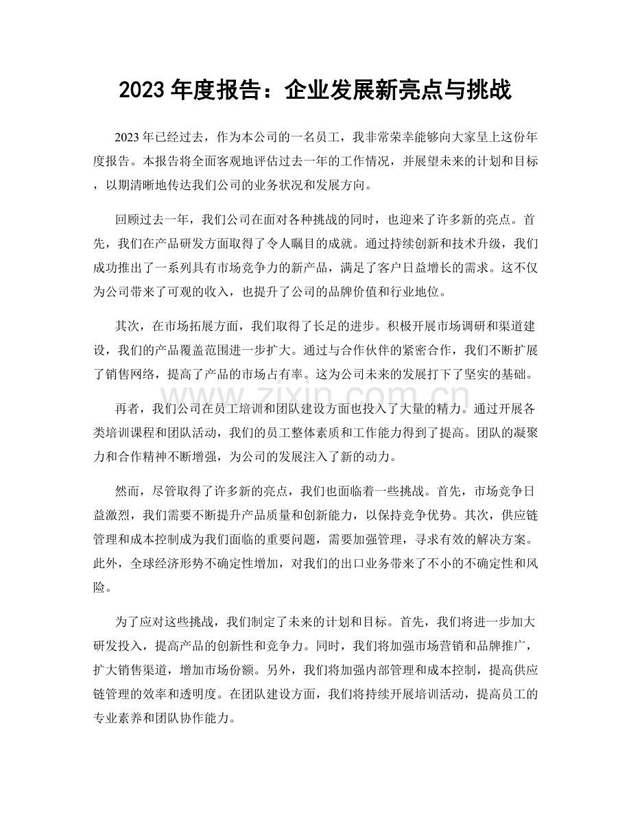 2023年度报告：企业发展新亮点与挑战.docx_第1页