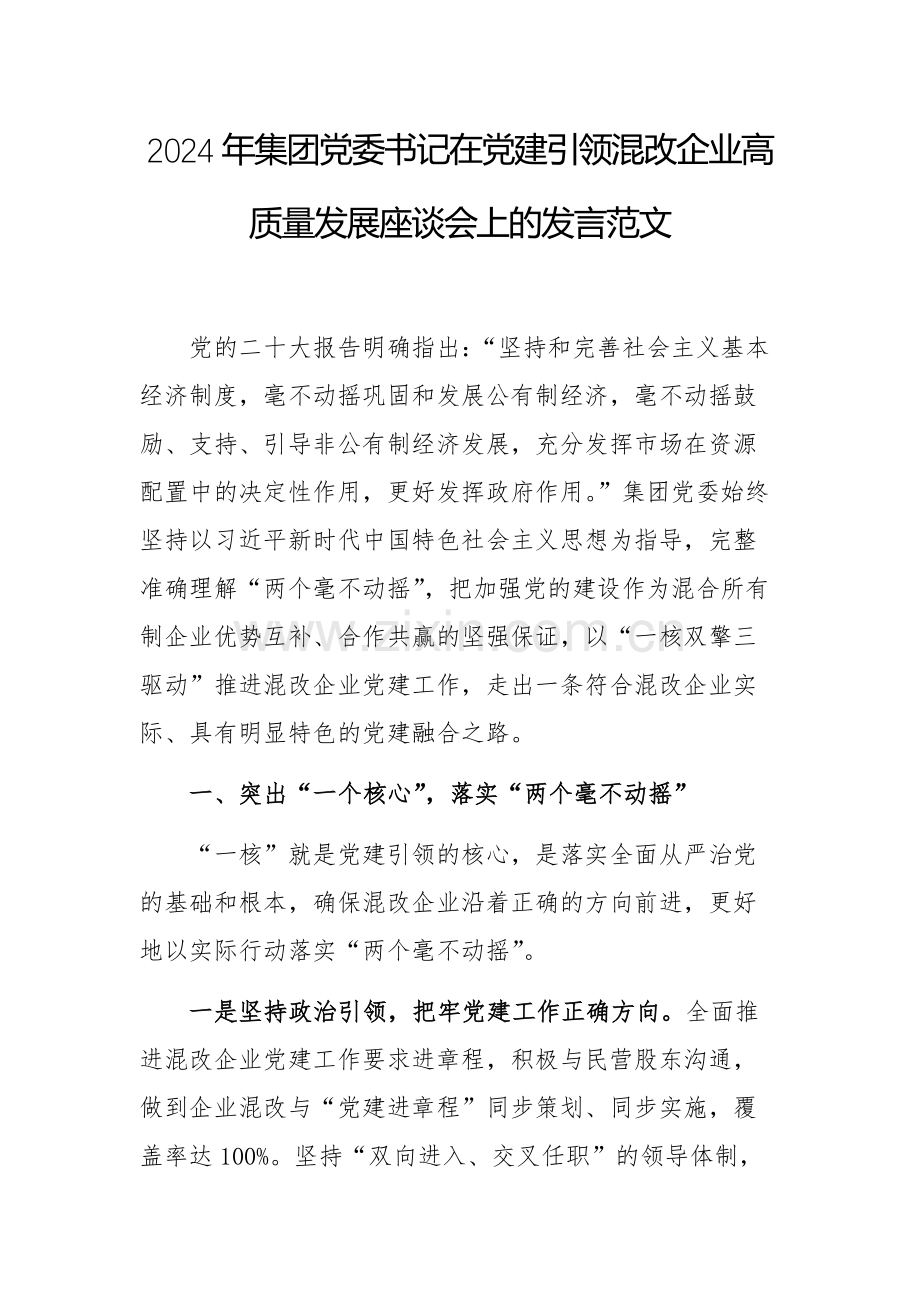 2024年集团党委书记在党建引领混改企业高质量发展座谈会上的发言范文.docx_第1页