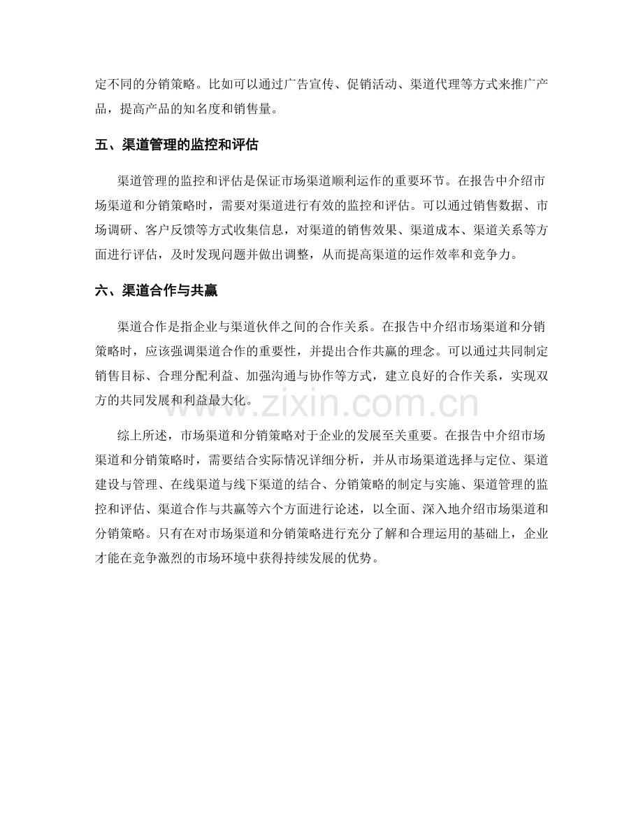 如何在报告中介绍市场渠道和分销策略.docx_第2页