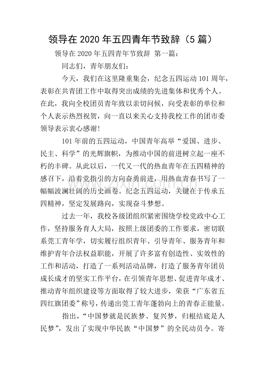 领导在2020年五四青年节致辞(5篇).doc_第1页