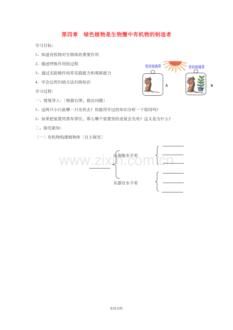 七年级生物上册-3.4《绿色植物是生物圈中有机物的制造者》导学案新人教版.doc_第1页