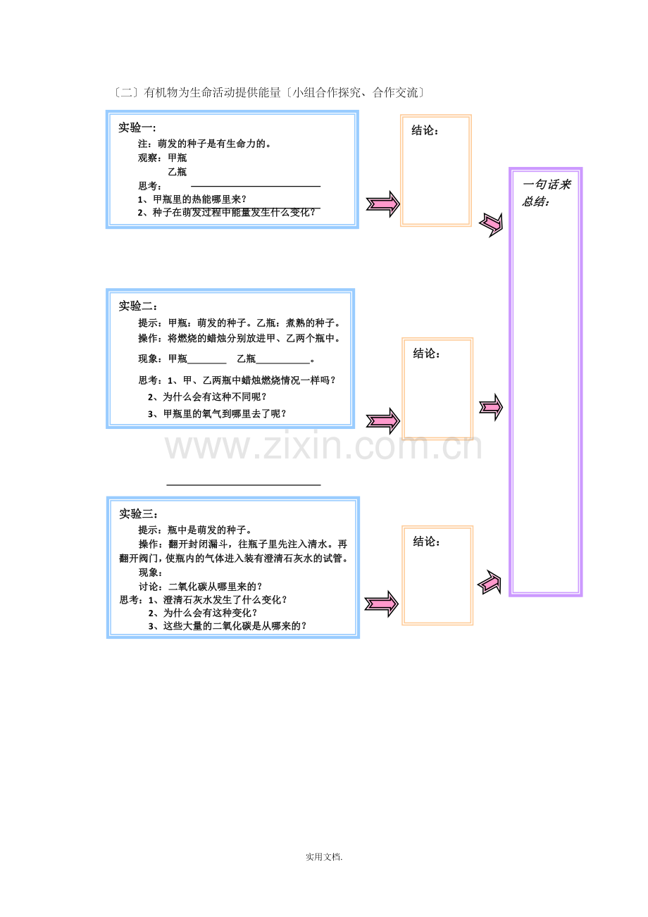 七年级生物上册-3.4《绿色植物是生物圈中有机物的制造者》导学案新人教版.doc_第2页