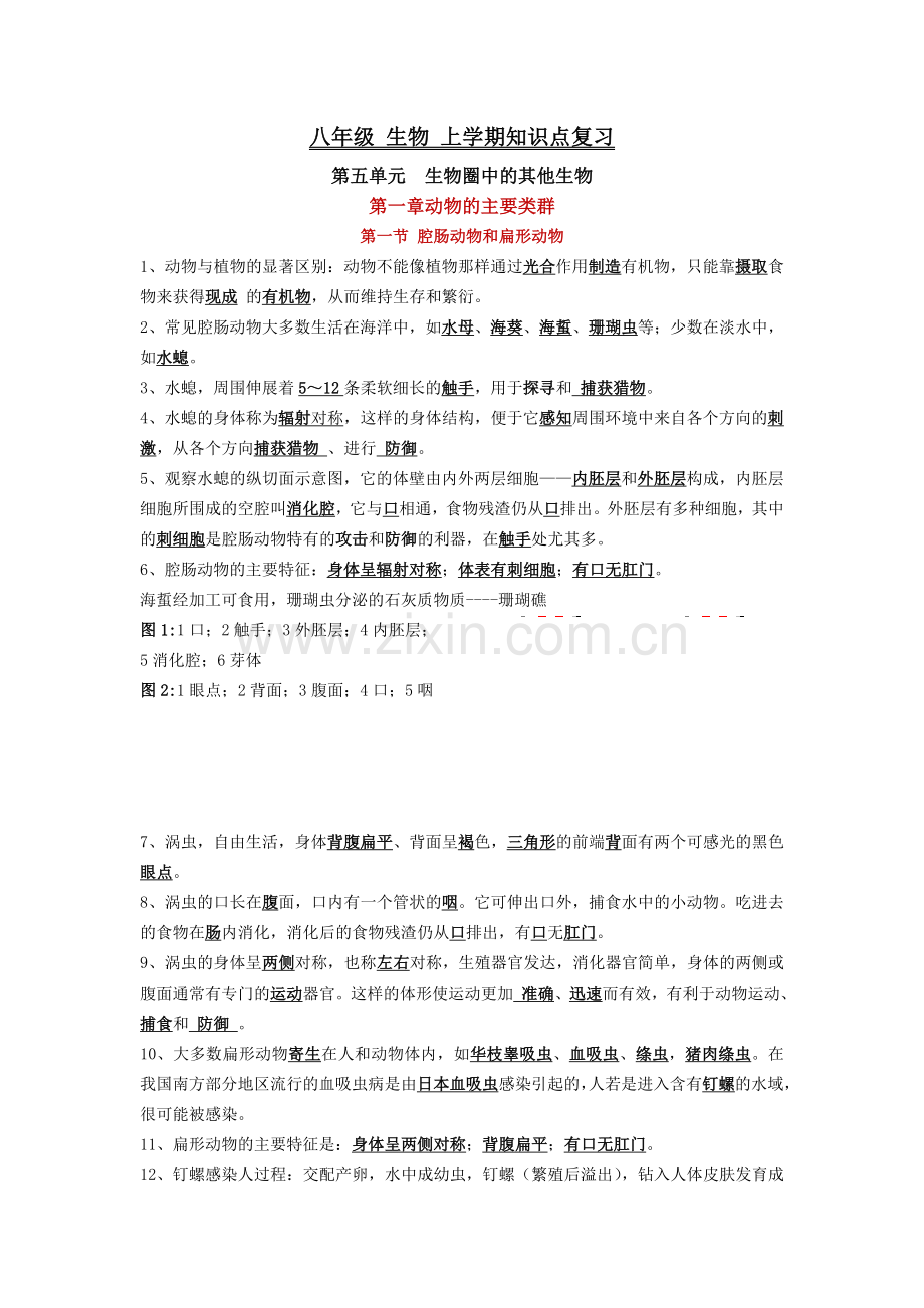 人教版生物八年级上册知识点总结.doc_第1页