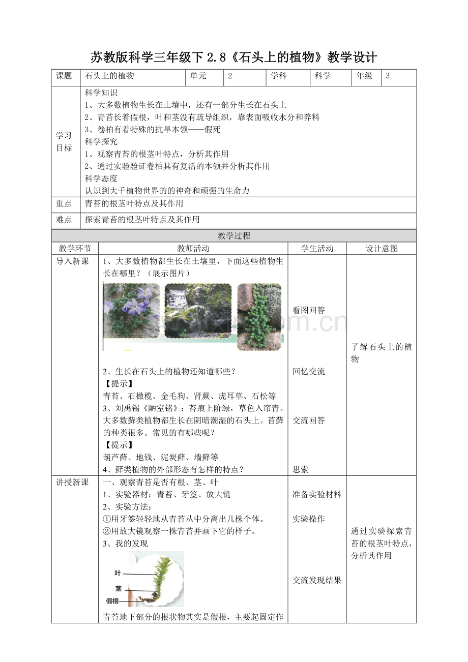 苏教版科学三年级下2.8《石头上的植物》教案.doc_第1页