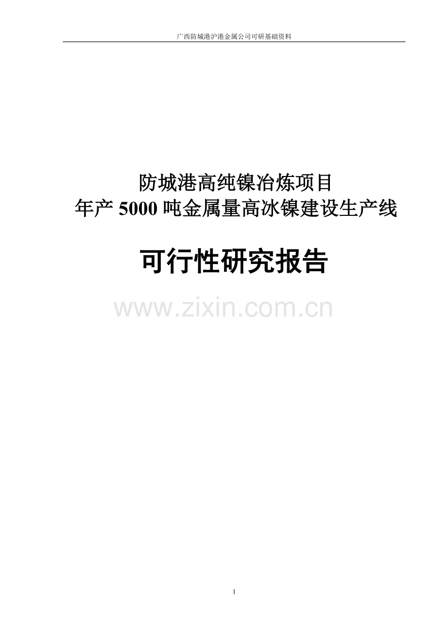 年产5000吨金属量高冰镍建设生产线可行性论证报告.doc_第1页