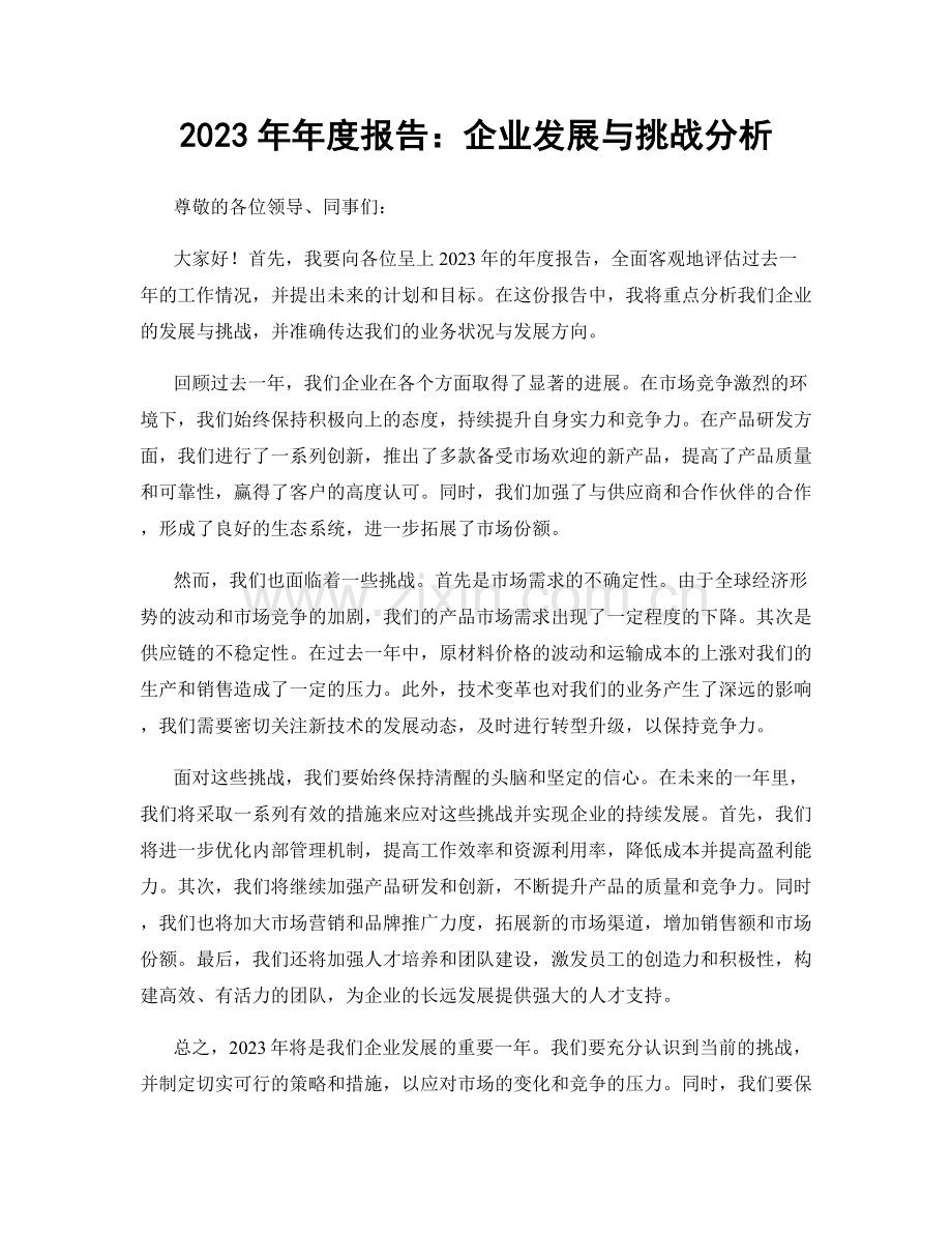 2023年年度报告：企业发展与挑战分析.docx_第1页