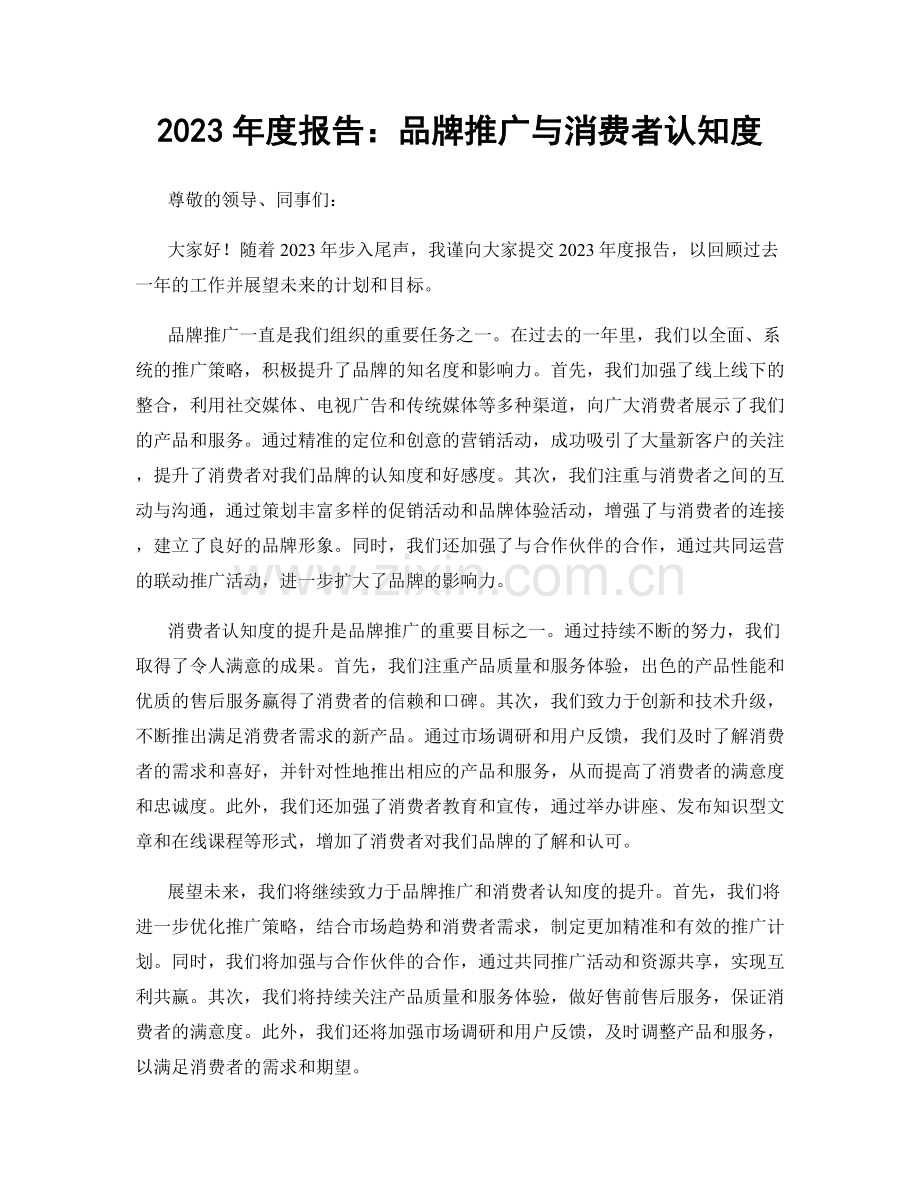 2023年度报告：品牌推广与消费者认知度.docx_第1页