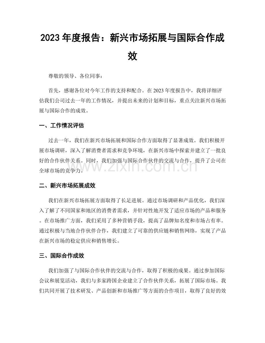 2023年度报告：新兴市场拓展与国际合作成效.docx_第1页