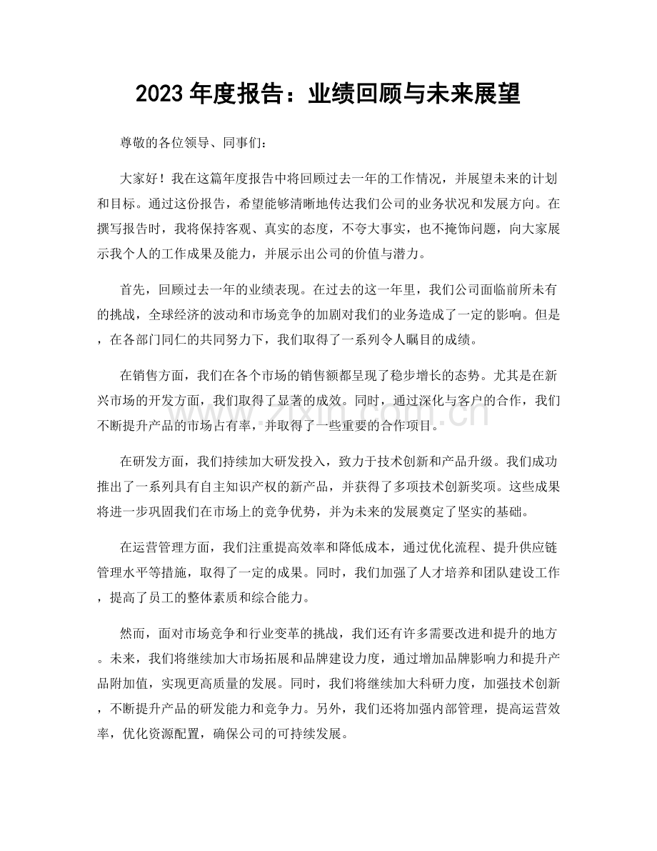 2023年度报告：业绩回顾与未来展望.docx_第1页