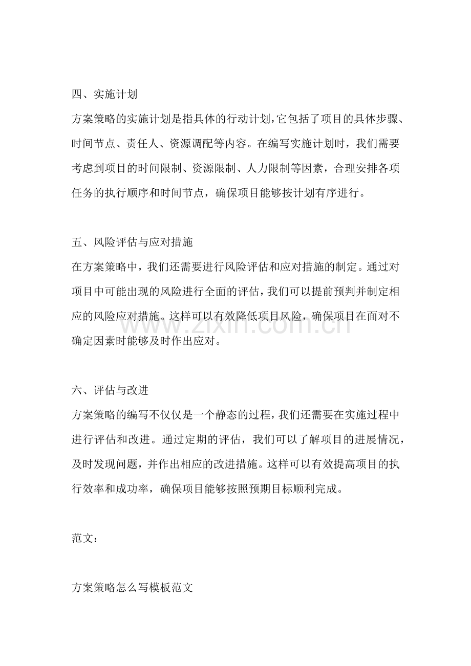 方案策略怎么写模板范文.docx_第2页